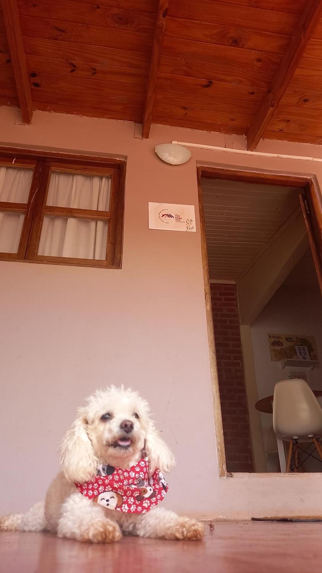 Ferienwohnung Oga'I Alquiler Turistico Puerto Iguazú Exterior foto